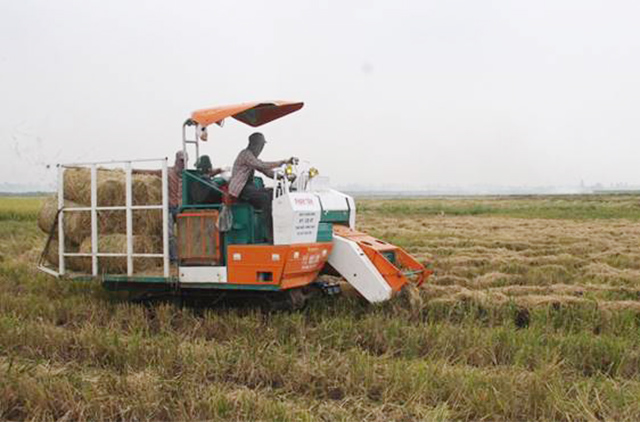 Máy thu gom rơm rạ mang lại lợi ích cho cả hai bên và cho môi trường sinh thái