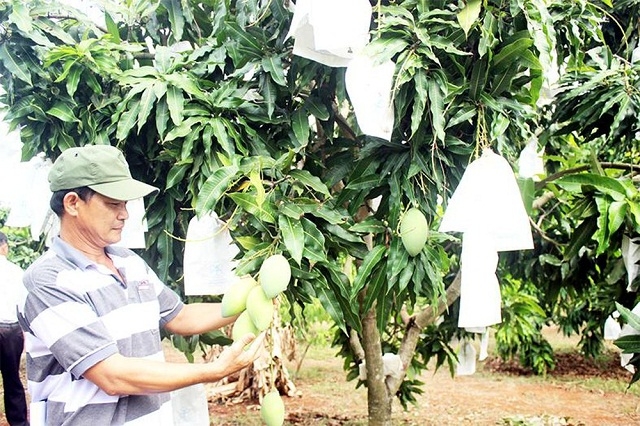 HTX Bảo Lâm đồng hành cùng địa phương trong suốt quá trình xây dựng nông thôn mới, đặc biệt là với tiêu chí hình thức tổ chức sản xuất (Ảnh:TL)