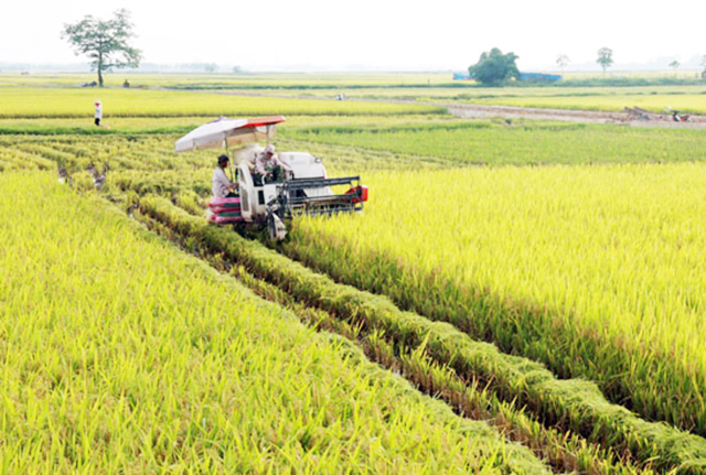 Vấn đề ATLĐ ngày càng được chú trọng, đặc biệt là tại các HTX ở Hưng Hà (Ảnh TL)