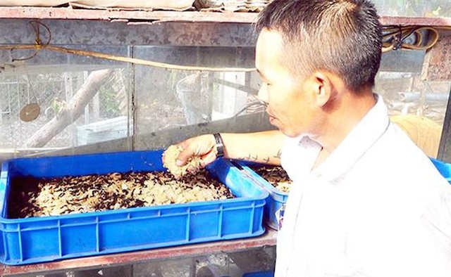 HTX Nông nghiệp - dịch vụ tổng hợp Bình Lợi đang phát triển thêm sản phẩm tinh dầu bưởi