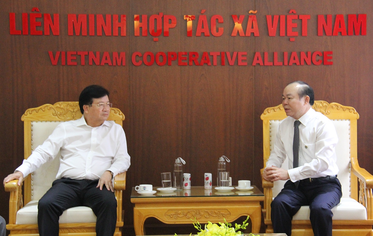 Chủ tịch Liên minh HTX Việt Nam Nguyễn Ngọc Bảo báo cáo về tình hình phát triển KTTT, HTX với Phó Thủ tướng Trịnh Đình Dũng, Trưởng ban chỉ đạo đổi mới, phát triển KTTT, HTX (Ảnh: Phạm Duy)
