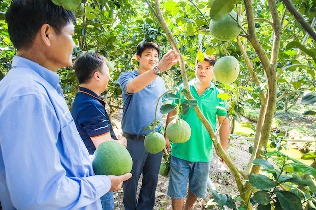 Nghề nông chủ lực tạo sinh kế cho lao động nông thôn ở Chợ Gạo