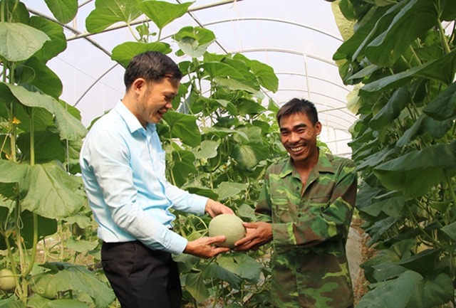 Quá trình xây dựng NTM có dấu ấn đặc biệt của khu vực kinh tế hợp tác, HTX.