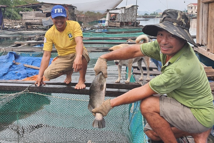 Nuôi cá lồng giúp thành viên HTX Bình Minh nâng cao thu nhập, ổn định cuộc sống