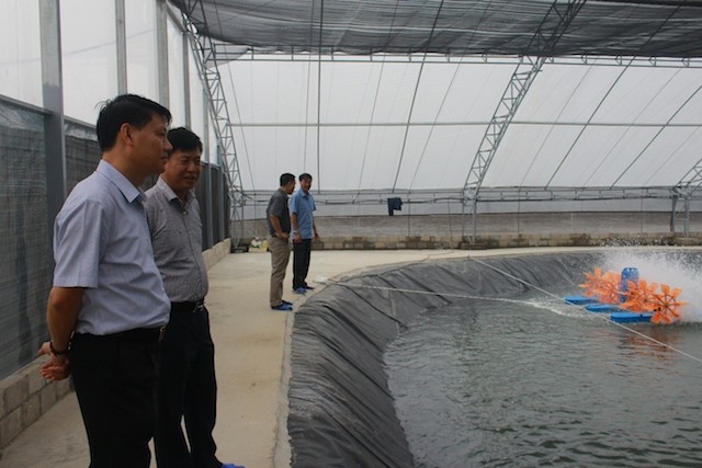 Mô hình nuôi tôm công nghệ cao ở xã Hiệp Phước với diện tích hơn 50 ha (ảnh: TL)