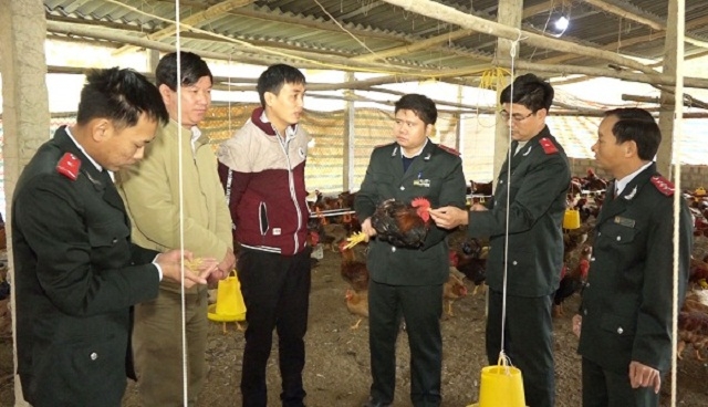 Chi cục Quản lý chất lượng nông lâm sản và Thủy sản Tuyên Quang kiểm tra mô hình sản xuất của HTX (Ảnh:TL)