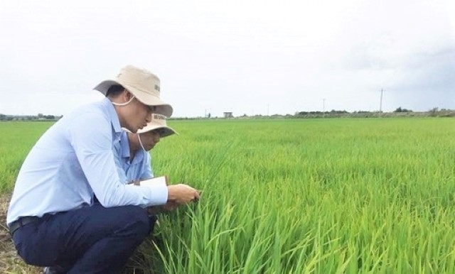 Chú trọng tiêu chí sản xuất và thu nhập trong xây dựng NTM (Ảnh: TL)