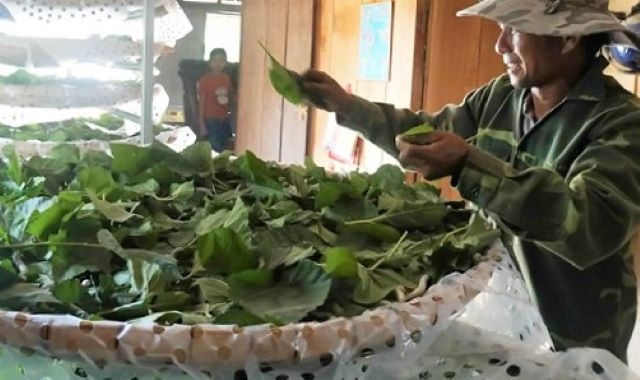 Các mô hình kinh tế hợp tác hoạt động hiệu quả đóng góp quan trọng vào việc hoàn thành tiêu chí số 10 và số 13 của các xã (Ảnh: TL)