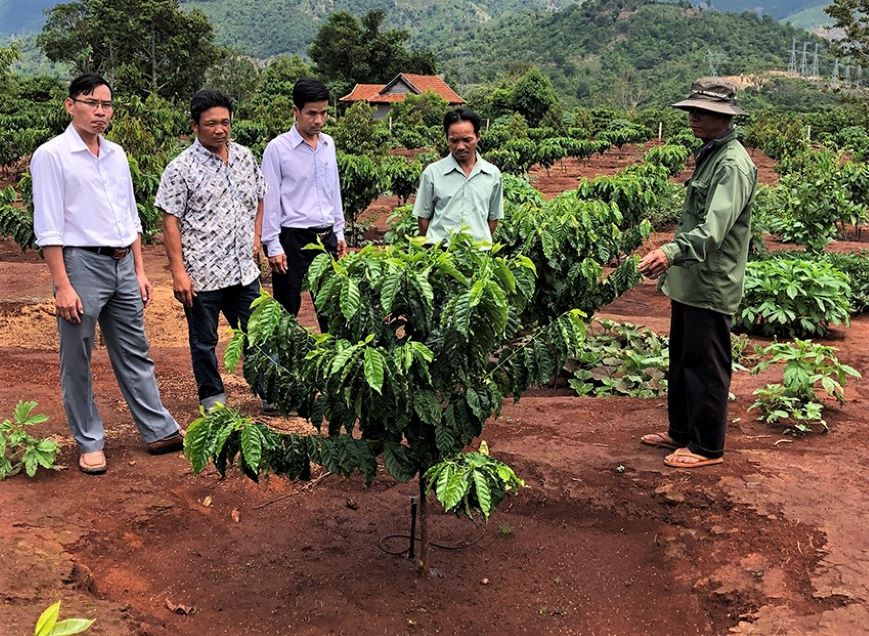 Hệ thống tưới tiết kiệm phun mưa tại gốc giúp tiết kiệm 30 - 50% lượng nước tưới (Ảnh: TL)