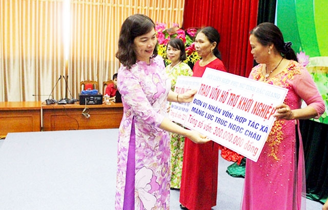 Các HTX của phụ nữ được tỉnh đẩy mạnh hỗ trợ, đầu tư phát triển (Ảnh TL)