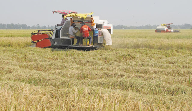 Tân Thạnh phát huy các mô hình kinh tế hiệu quả giúp giải quyết việc làm cho các lao động nghèo