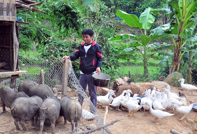 Được sự hỗ trợ, nhiều mô hình khởi nghiệp của các thanh niên mang lại hiệu quả kinh tế cao (Ảnh: TL)