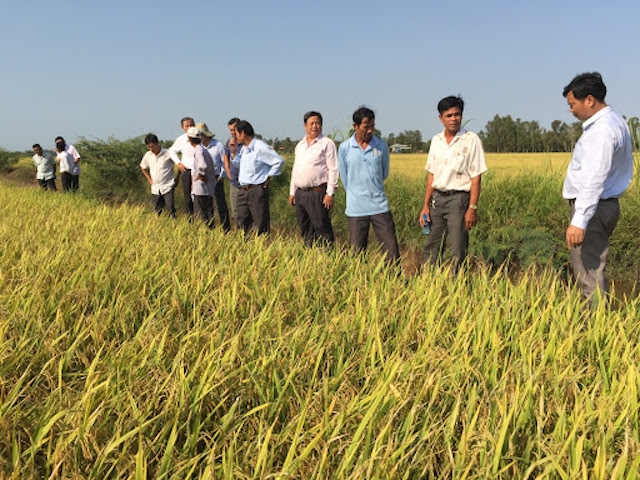 Chuyển đổi nhận thức của lao động nông thôn từ “sản xuất nông nghiệp” sang làm “kinh tế nông nghiệp