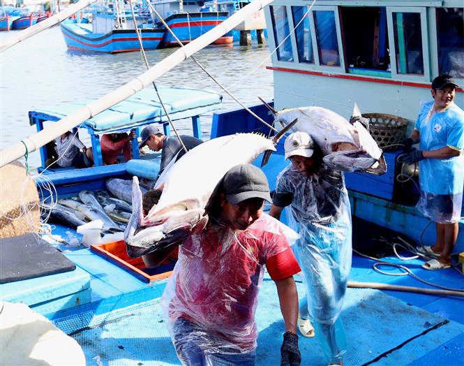 Lao động của các HTX được tham gia các lớp tập huấn để đảm bảo an toàn trong quá trình làm việc (Ảnh:TL)