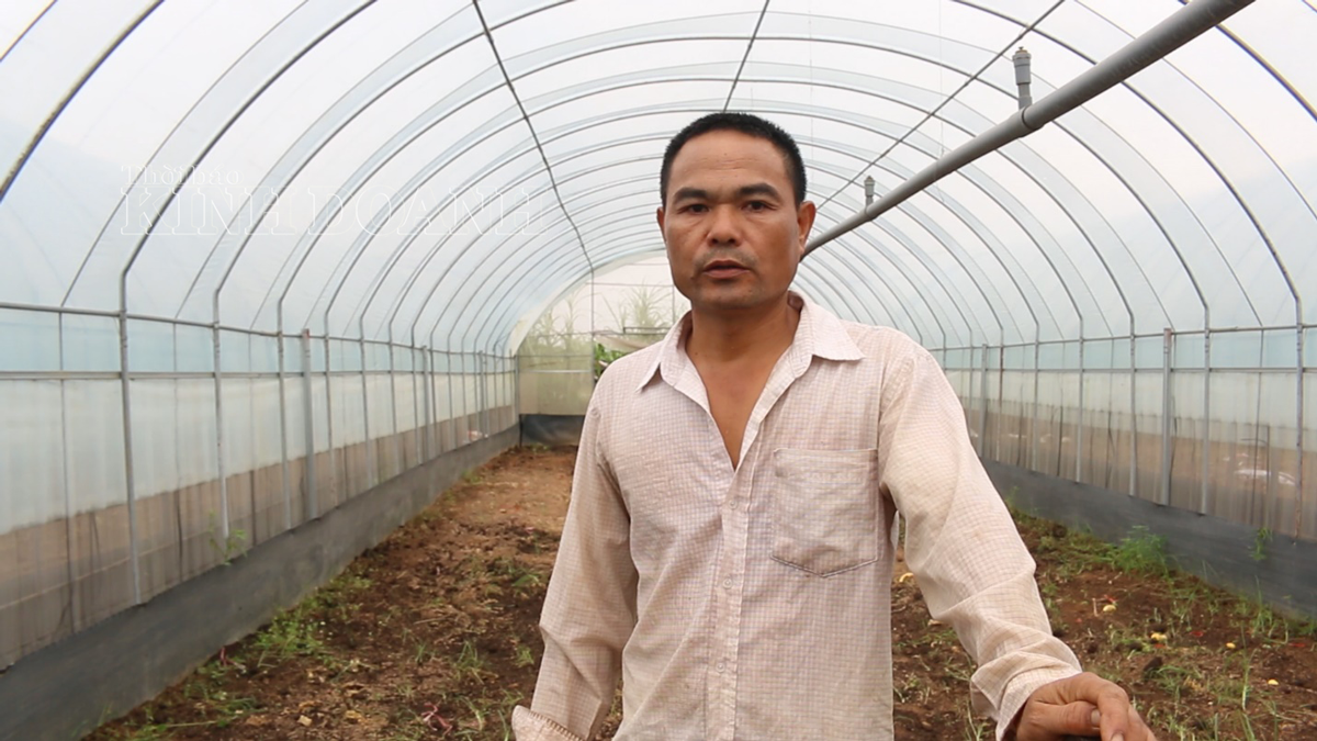 Ông Lê Đức Thắng, Phó Giám đốc HTX Tàm Xá chia sẻ về khó khăn trong năm đầu tiên vận hành.