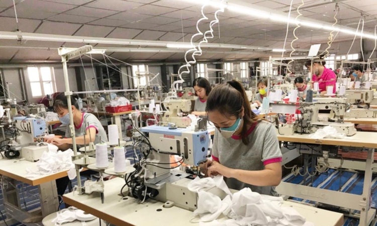May Sông Hồng đang có nguy cơ mất hàng trăm tỷ đồng từ đối tác