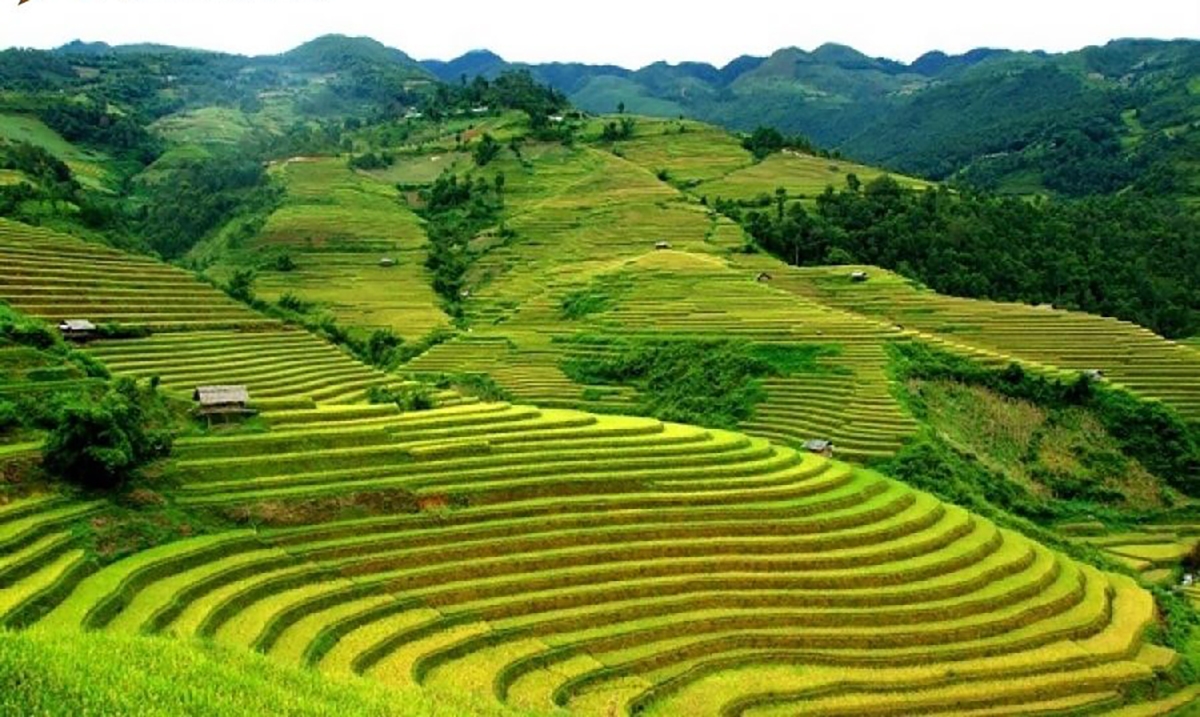 Cao nguyên Mộc Châu, Sơn La Mộc Châu được mệnh danh là một trong những cao nguyên đẹp nhất Tây Bắc. Nơi đây, mỗi mùa mang một vẻ đẹp rất đặc trưng bởi các loại hoa, quả đua nhau khoe sắc. Chính vì Mộc Châu quá đẹp ở mọi thời điểm và thời tiết dễ chịu mà đây là một trong các địa điểm du lịch hè đáng đi nhất.