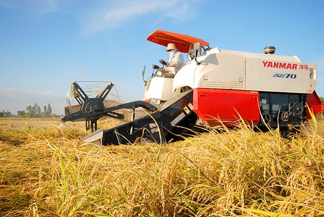 Cơ giới hóa đi đôi với an toàn lao động giúp nâng cao hiệu quả sản xuất