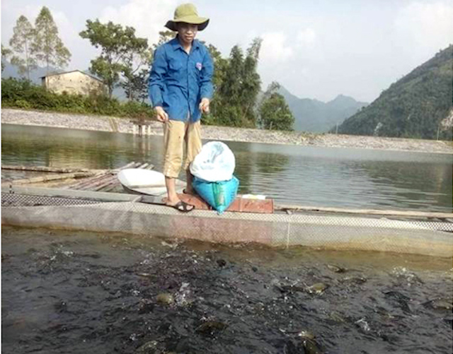 Mô hình nuôi cá lồng của HTX Cường Thịnh ngày càng phát triển theo hướng có hiệu quả sau khi được hỗ trợ về vốn (Ảnh: TL)