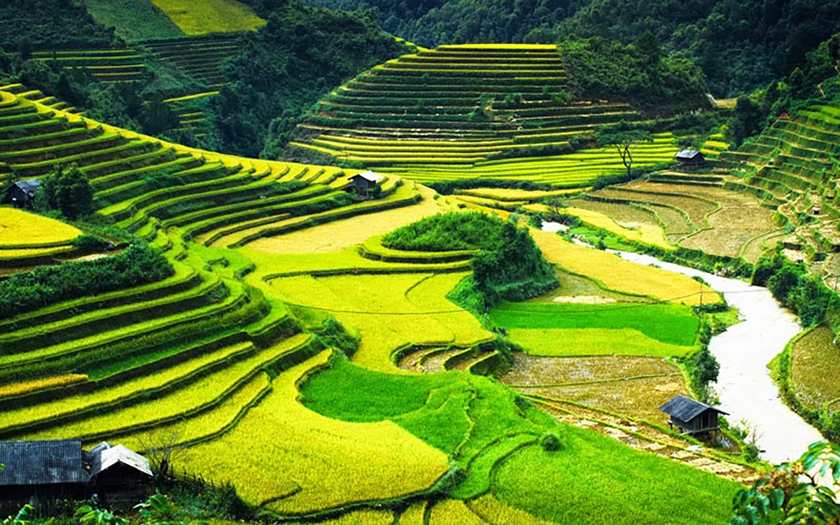 Mù Cang Chải, Yên Bái Huyện Mù Cang Chải nằm ở phía Tây tỉnh Yên Bái. Bạn phải qua đèo Khau Phạ - một trong Tứ đại đỉnh đèo mới đến được đây, đường đến đèo khá hiểm trở nhưng hùng vỹ vô cùng. Cái tên Mù Cang Chải nghe thôi đã tạo cho chúng ta cảm giác về một vùng đất xa xôi, mờ ảo và nơi đây là thế - huyền ảo vô cùng.