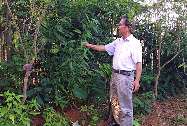 Quỹ hỗ trợ phát triển HTX tỉnh Lạng Sơn đã giải quyết cơn khát vốn cho 30 HTX trên địa bàn (Ảnh: TL)