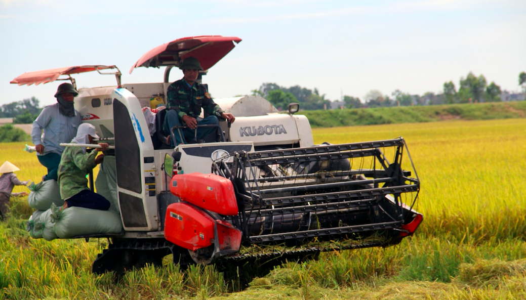 HTX dịch vụ nông nghiệp xã ký hợp đồng liên kết sản xuất và tiêu thụ sản phẩm lúa.