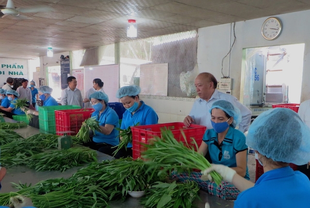 Huyện Tân Phú sẽ nhân rộng các mô hình HTX tiêu biểu cho hộ nghèo tham gia (ảnh:TL)