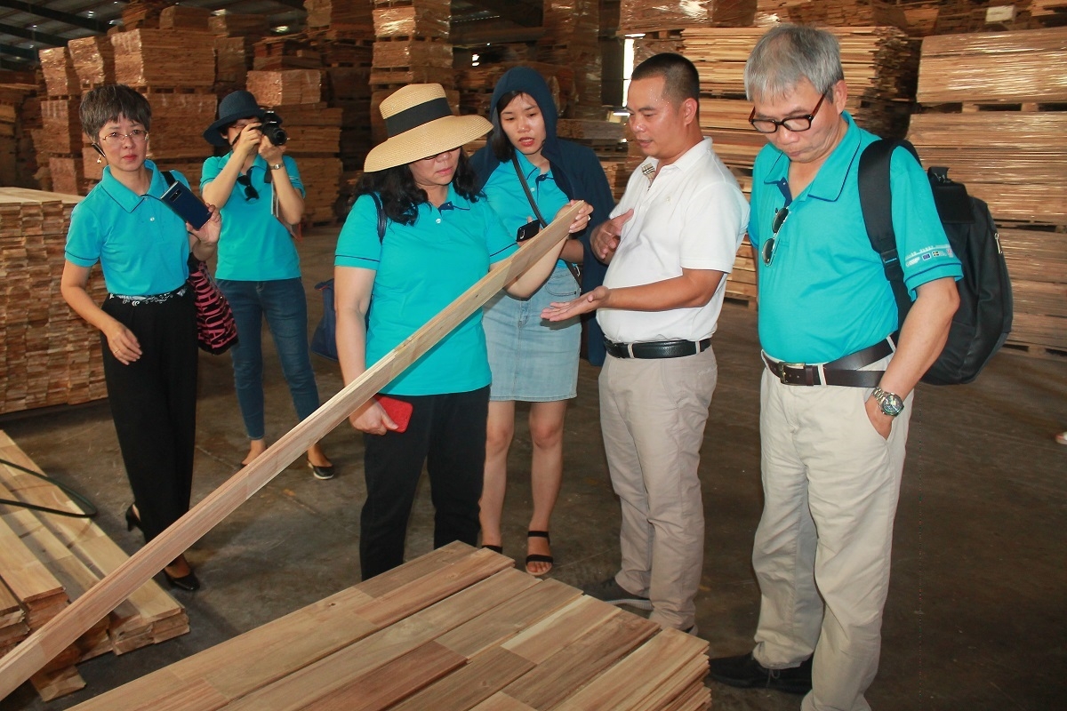 Quy chế gỗ của EU công nhận tính hợp pháp của gỗ và sản phẩm gỗ có giấy phép FLEGT đã được xác minh thông qua các hệ thống kiểm soát của một số quốc gia đối tác được thống nhất trong Hiệp định VPA/FLEGT