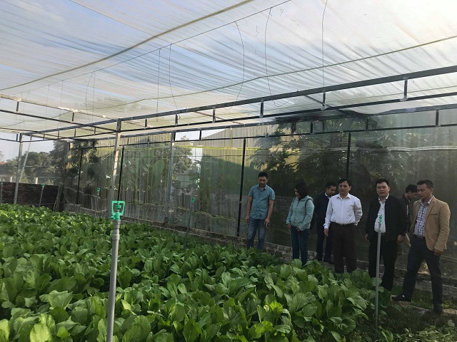 Sở KH&CN đến thăm và kiểm tra mô hình sản xuất của HTX (Ảnh:TL)