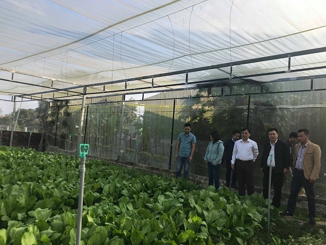 Sở KH&CN đến thăm và kiểm tra mô hình sản xuất của HTX (Ảnh:TL)
