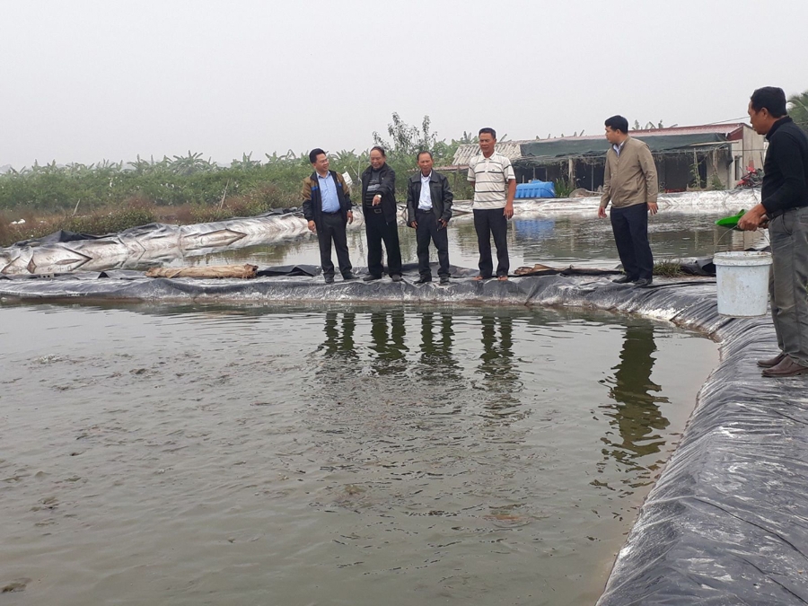 Mô hình nuôi thuỷ sản có hiệu quả đang phát triển tại nhiều HTX trên địa bàn tỉnh Ninh Bình (Ảnh:TL)