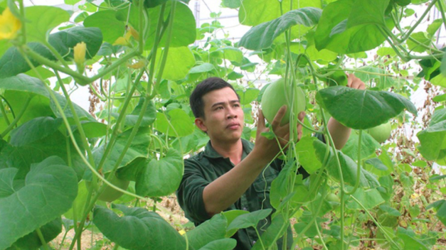 Nghệ An đã thành lập Đội tri thức trẻ tình nguyện chuyển giao khoa học kỹ thuật nông nghiệp cho thanh niên.