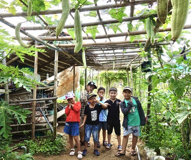 Vườn rau hữu cơ Thanh Đông thu hút nhiều khách trong và ngoài nước đến thăm quan trải nghiệm.