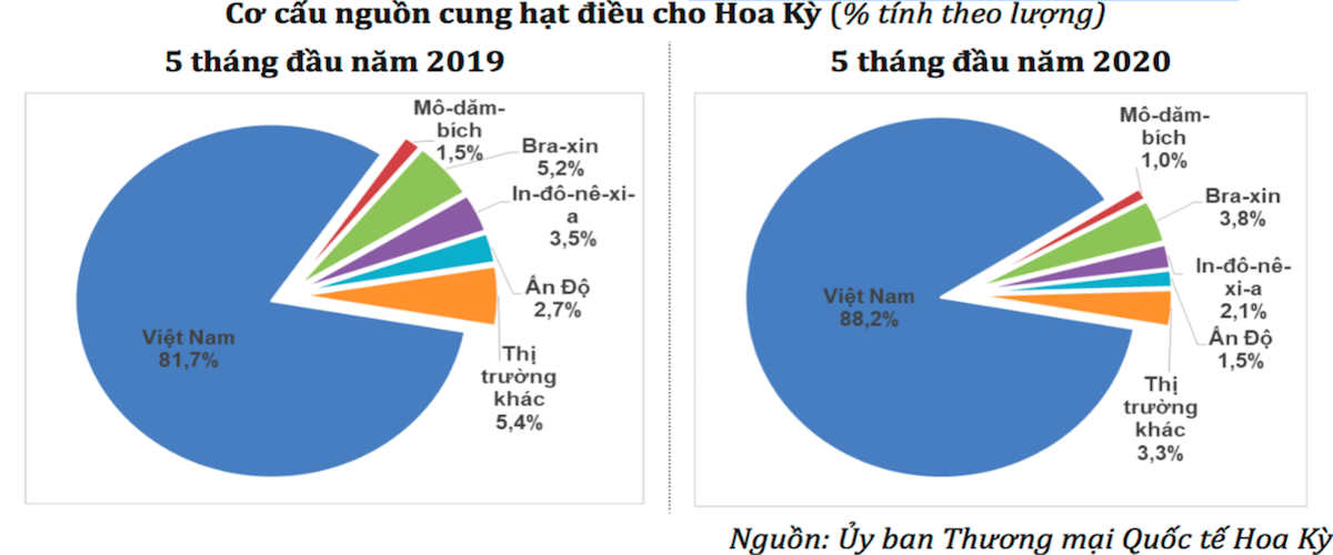 Hạt điều Việt Nam đang chiếm thị phần lớn tại Mỹ