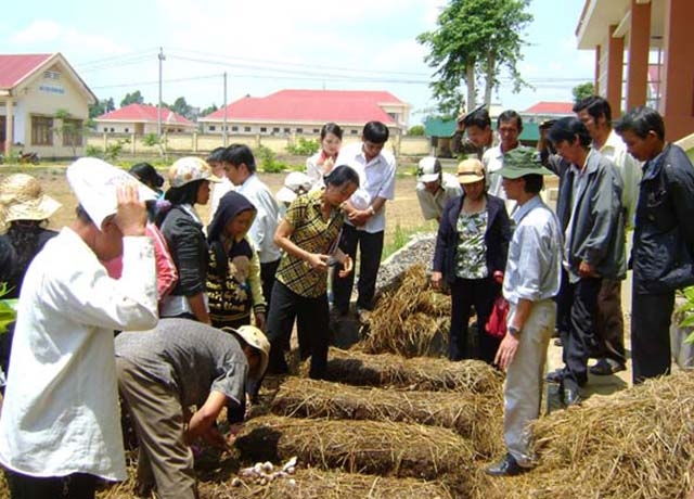 Mô hình nông dân dạy nghề cho nông dân đã giúp nhiều lao động nông thôn có việc làm, ổn định thu nhập.