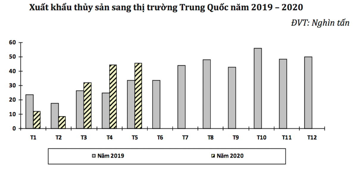 Xuất khẩu thủy sản sang Trung Quốc bắt đầu tăng trưởng trở lại từ tháng 3 năm nay.