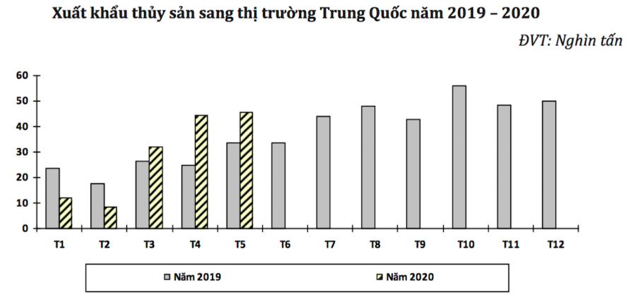 Xuất khẩu thủy sản sang Trung Quốc bắt đầu tăng trưởng trở lại từ tháng 3 năm nay.