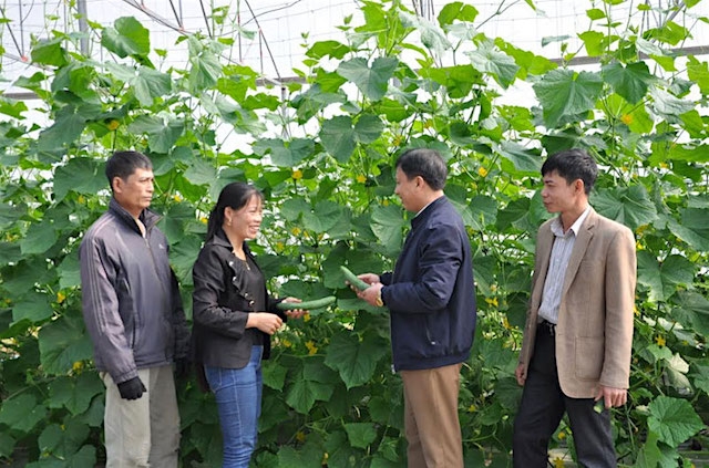 Đẩy mạnh tuyên truyền để các HTX nhận thức rõ lợi ích của việc tham gia BHXH.