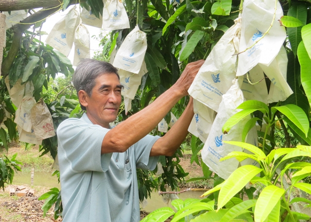 Từ mô hình hội quán, nhiều HTX đã được thành lập tại Cao Lãnh (Ảnh TL)