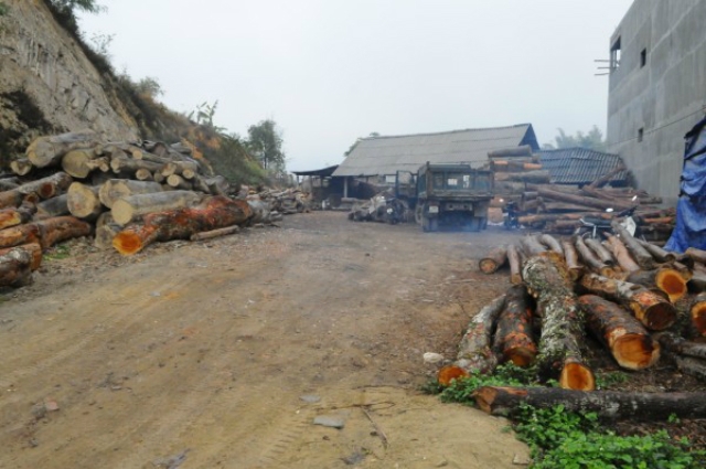 Cơ sở sản xuất gỗ của HTX chế biến gỗ Sông Hiến