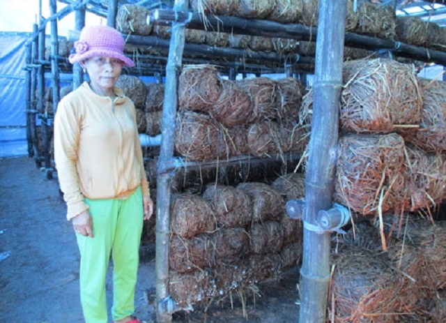 Mô hình trồng nấm đã mang lại cuộc sống mới cho người dân thôn Châu Lâm (Ảnh: TL)