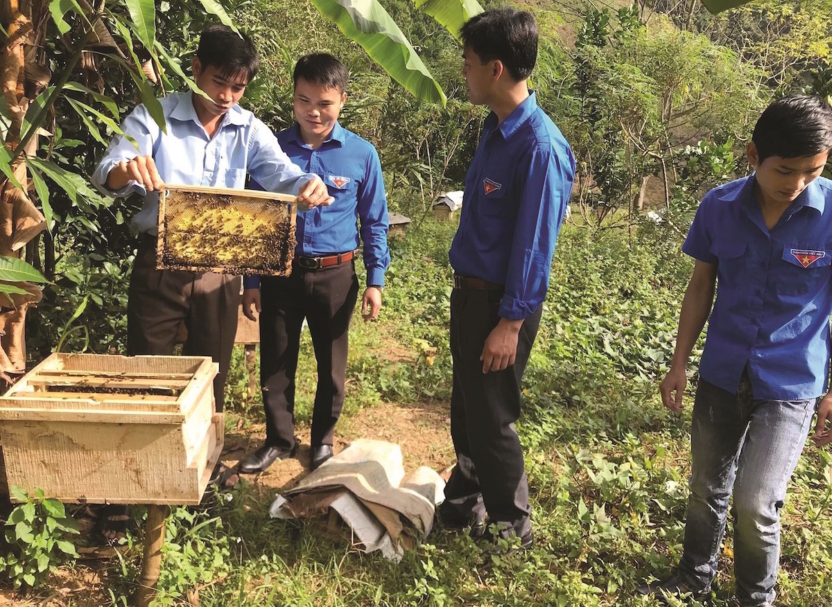 Lớp học nghề nuôi ong mật.