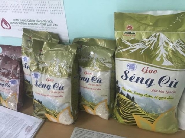 Từ khi có trí thức trẻ về làm việc, sản phẩm của HTX Tiên Phong Mường Vi rộng đầu ra hơn