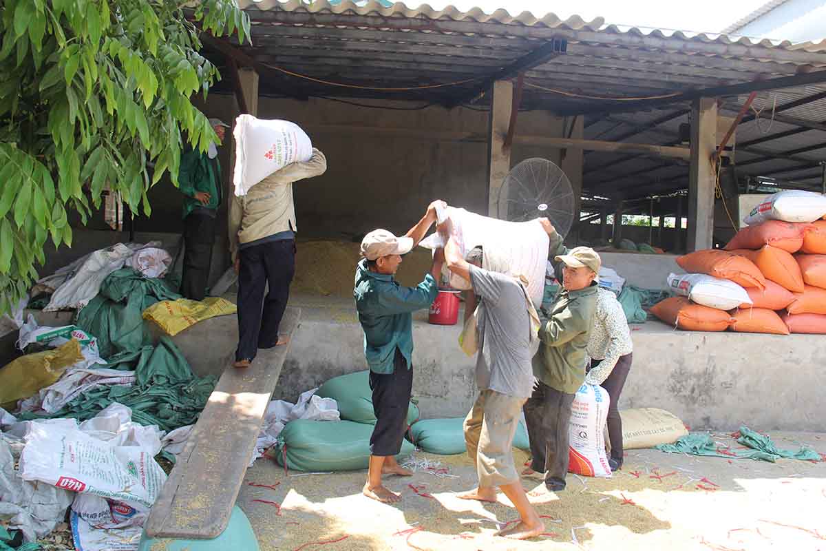 HTX nông nghiệp Hợp Tiến là đơn vị được Liên minh HTX tỉnh Ninh Bình hỗ trợ 2 lò sấy thóc trị giá gần 200 triệu đồng làm dịch vụ phục vụ các thành viên (Ảnh: Phạm Duy)