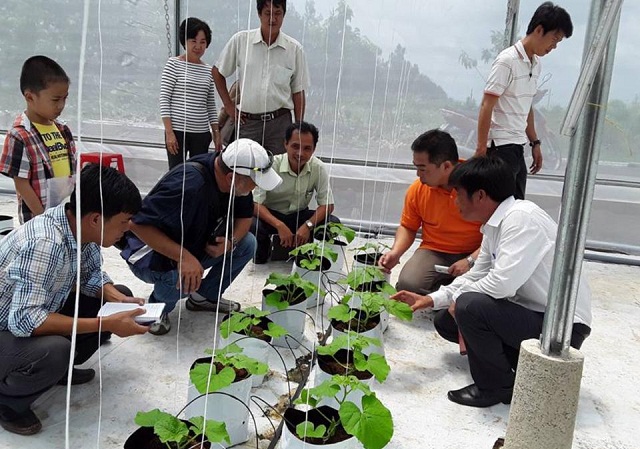 HTX đang chuyển giao khoa học kỹ thuật cho các đơn vị đến học hỏi kinh nghiệm sản xuất