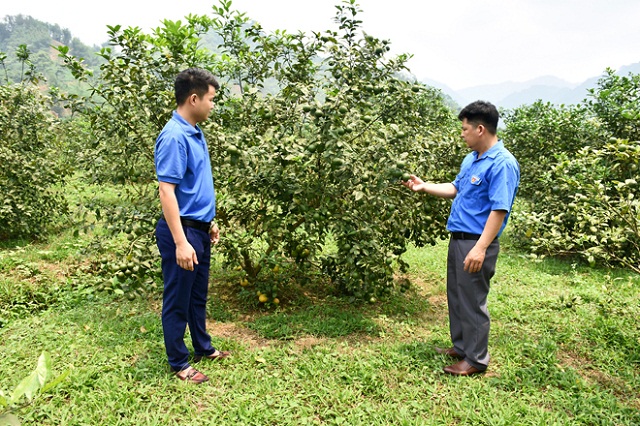 THT Kim Bình là nơi khởi nghiệp và nâng cao thu nhập cho đoàn viên thanh niên