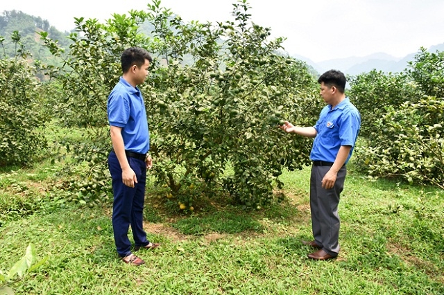 THT Kim Bình là nơi khởi nghiệp và nâng cao thu nhập cho đoàn viên thanh niên