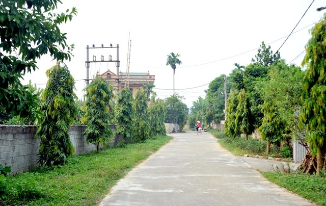 Một tuyến đường sáng - xanh - sạch- đẹp ở thôn Bó Củng