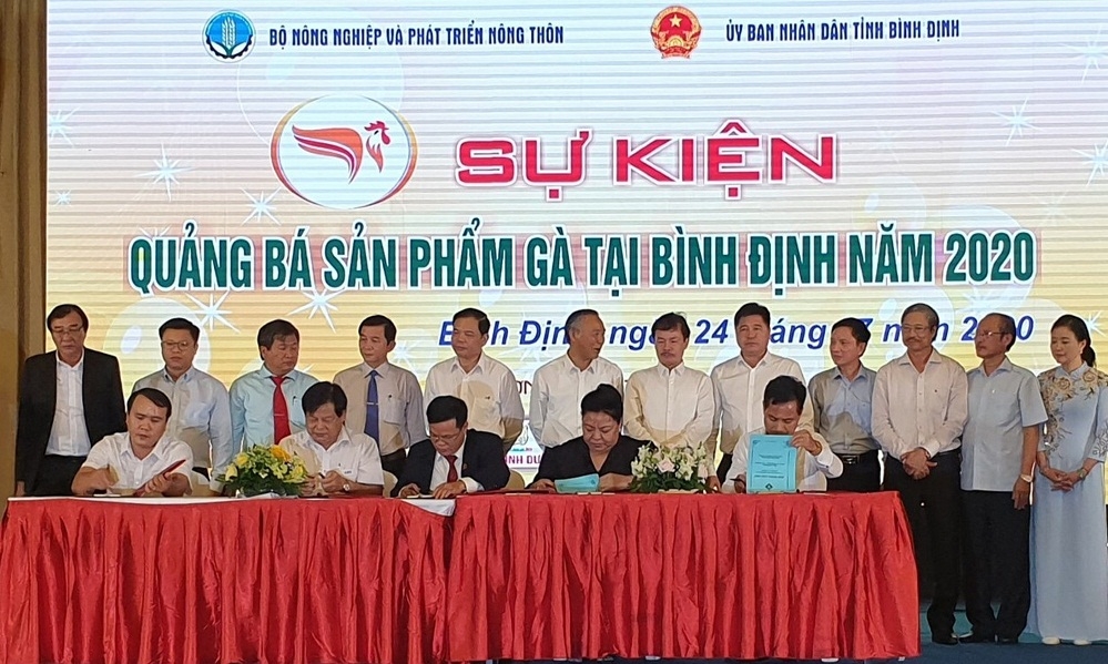 Các doanh nghiệp và địa phương đã đi đến thỏa thuận, ký kết nhiều hợp đồng liên kết, hợp tác chăn nuôi, cung ứng gà giống, trứng và thịt gà với tổng giá trị ký kết lên đến hàng nghìn tỷ đồng