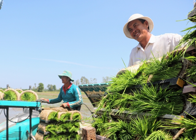 Nhờ chú trọng học nghề nông, khái niệm về liên kết chuỗi, hay sản xuất nông sản sạch với nông dân Tháp Mười trở nên quen thuộc hơn